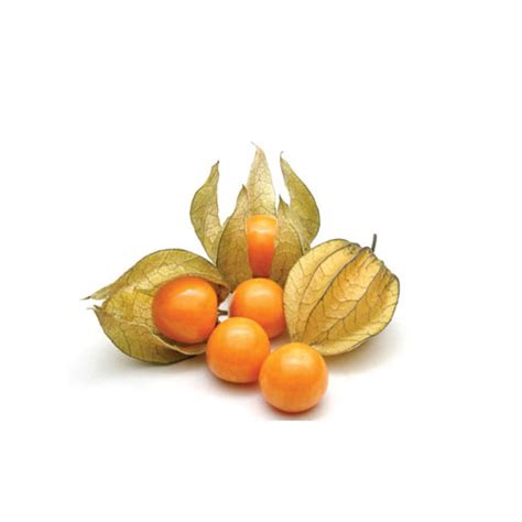 Physalis Imported Pkt - Al Rizq Trading