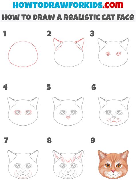 How to Draw a Realistic Cat Face - Easy Drawing Tutorial For Kids