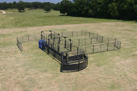 Solid Sweep Corral System for 100 Head | Cattle facility, Cattle corrals, Cattle ranching