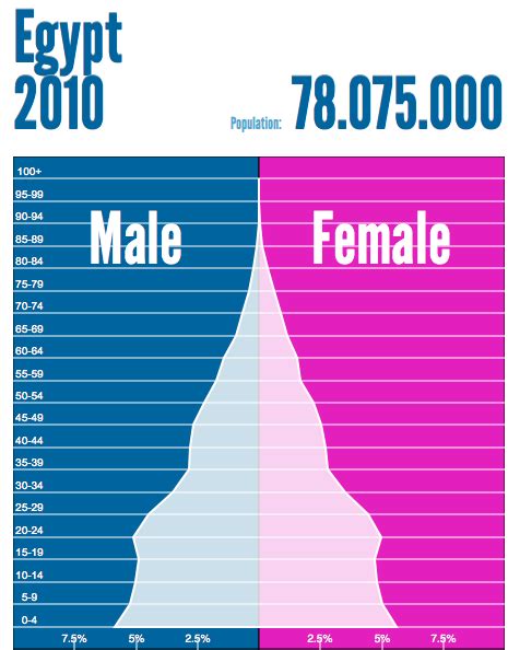 Population Pyramid - Egypt