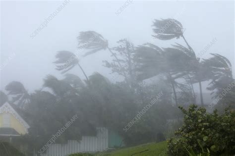 Strong winds during Hurricane Irene - Stock Image - C015/2647 - Science ...