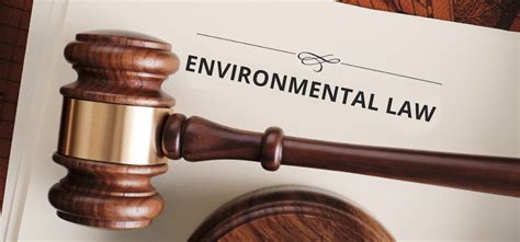 Environmental Law - Pheello Dikane Inc.