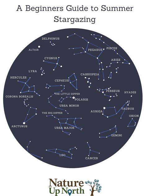 A Beginner's Guide to Summer Stargazing | Nature Up North