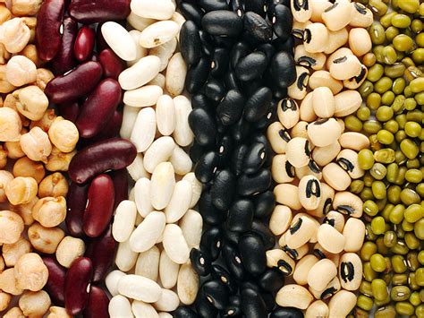 Beans Seed Varieties / 1kg – A.K Domino Foods