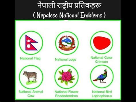 नेपाली राष्ट्रीय प्रतिकहरू। || Nepalese National Emblems || Nepal TV - YouTube