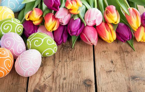 Wallpaper flowers, eggs, spring, Easter, tulips, flowers, tulips, spring, Easter, eggs ...