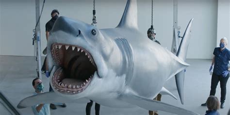 Jaws’ Only Surviving Shark Model Installed At Academy Museum - Whole Story