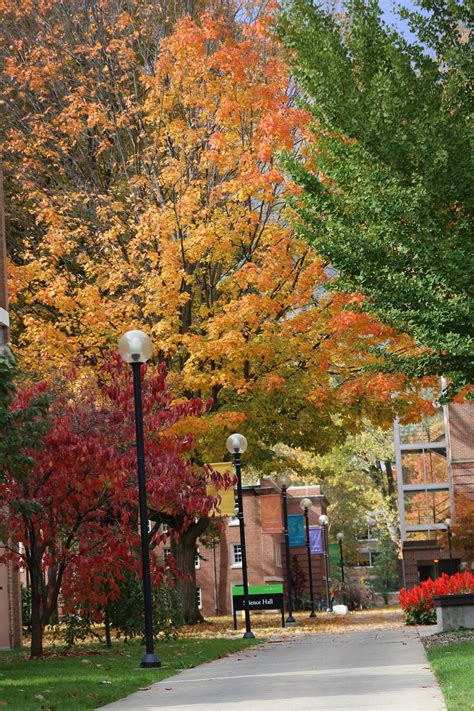 Arbor Day Foundation honors Goshen College as “Tree Campus USA” | Goshen College