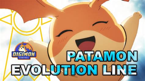 Patamon Evolution Line - YouTube