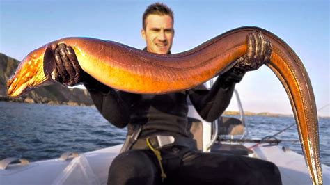 Giant EEL FISH Catch and Cook - YouTube