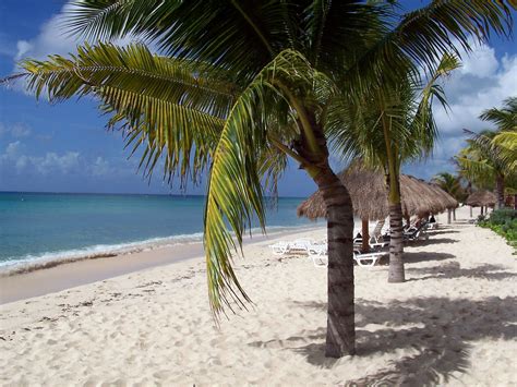 Cozumel | Cozumel mexico, Places to travel, Vacation spots