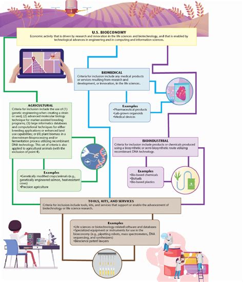 The bioeconomy landscape: examples falling under the bioeconomy ...