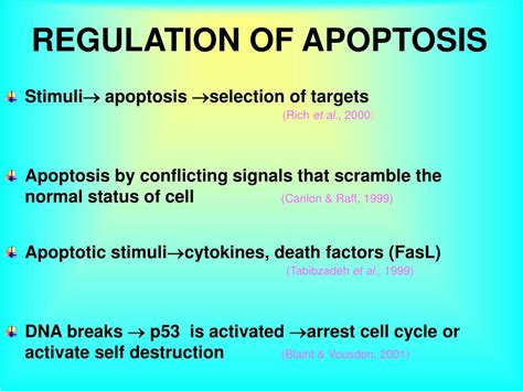 PPT - APOPTOSIS: An overview PowerPoint Presentation, free download - ID:3643088