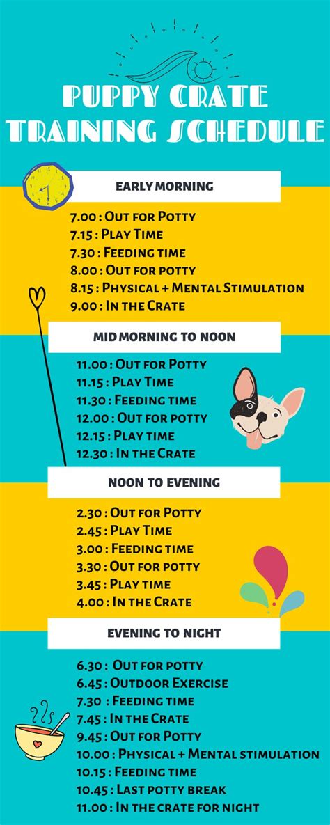 Puppy Crate Training Schedule Printable - Printable Word Searches