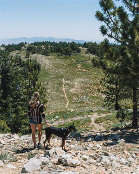 Mt Pinos Hike In Los Padres National Forest | California Wanderland