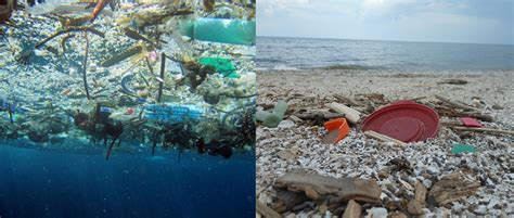 Trash to Treasure: Marine Debris Art Contest