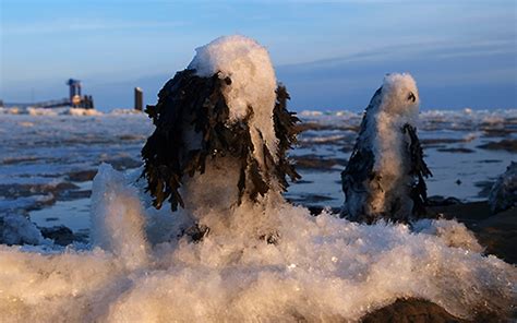 Den Winter 2016 auf Sylt verbringen | Das tägliche Sylt Wetter auf wettersylt.info