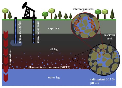 6 Best Reservoir Simulation Tool in 2020 | Petroleum engineering ...