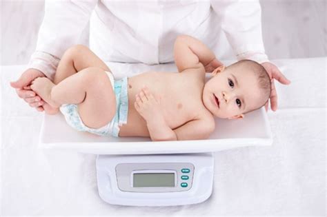 Infant Baby Weighing Scale Digital | VMed Medical