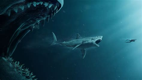 Great White Shark Wallpapers (48+ images inside)