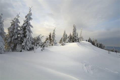 1,900+ Maine Snow Stock Photos, Pictures & Royalty-Free Images - iStock