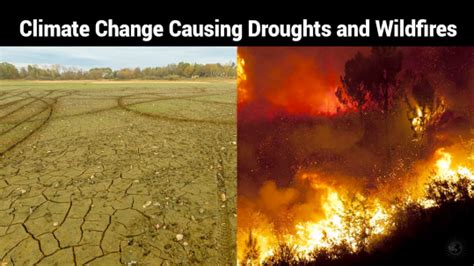カリフォルニア州は世界史の中で最も気候変動の影響を受けている | アメリカ・ウオッチ- Yuko's Blog