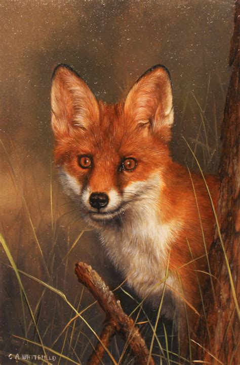 Oil Painting Fox at PaintingValley.com | Explore collection of Oil Painting Fox