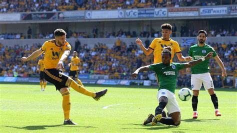 Wolves Vs Brighton Preview