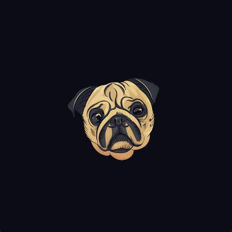 Pug 1080P, 2K, 4K, 5K HD wallpapers free download | Wallpaper Flare