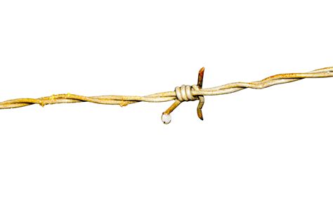 Barbed Wire Free Stock Photo - Public Domain Pictures