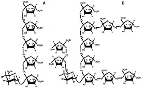 Molecular structures of inulin-type fructans (A) and agavins (B ...