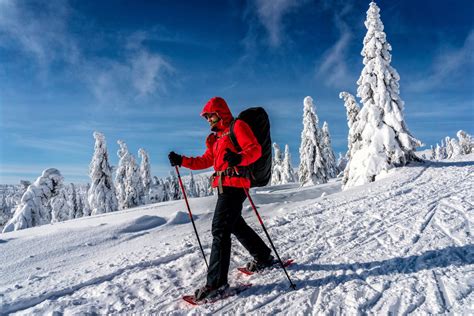 Top 10 Winter Activities to Explore in Canada | Arrive