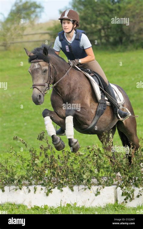 Connemara pony jumping hi-res stock photography and images - Alamy