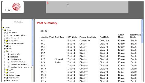 Configuring Port Mirroring