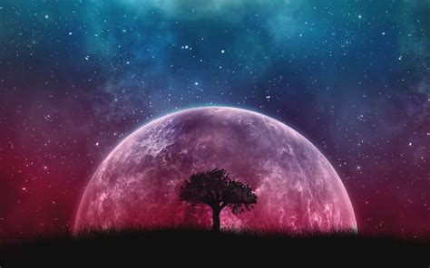 🔥 Free Download Wallpaper Tree Planet Stars Galaxy Art 4k by ...