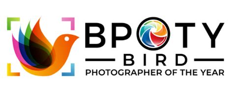 Bird Photographer of the Year | Photo Contest Insider