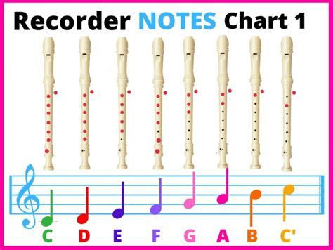 Recorder Notes Chart |Fingering Chart | ALL NOTES