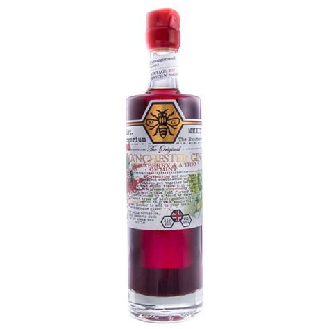 Zymurgorium Strawberry and A Trio of Mint Gin 50 cl – Roma Wines