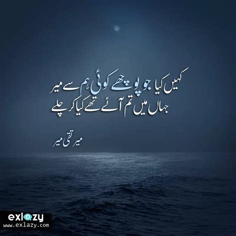 The Best of Mir Taqi Mir Poetry 2 Line | Emotional poetry, Image poetry, Poetry photos