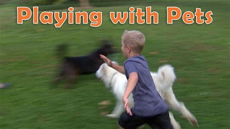 Get Up & Go Play!: Playing with Pets | PBS LearningMedia