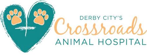 Derby City's Crossroads Animal Hospital | Book Online Appointments