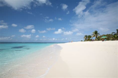 Anguilla is known for its 33 exemplary beaches. Here are a few of our favorite sunny shores ...