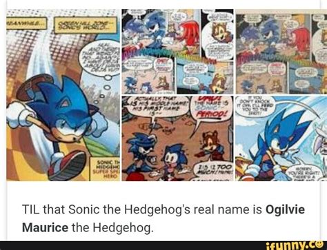 TILthat Sonic the Hedgehog's real name is Ogilvie Maurice the Hedgehog ...