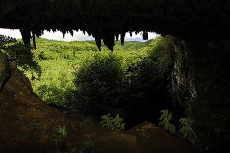 The makatea on Mangaia is riddled with caves like this one, providing a ruggedly framed view ...