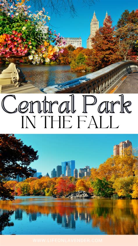 Central Park in the Fall- A Guide To Magical Fall Foliage - Life on ...