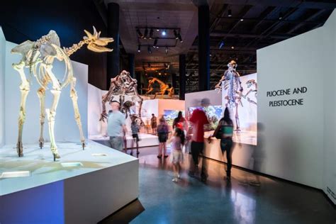 Houston Museum of Natural Science will reopen starting May 15 | Community Impact