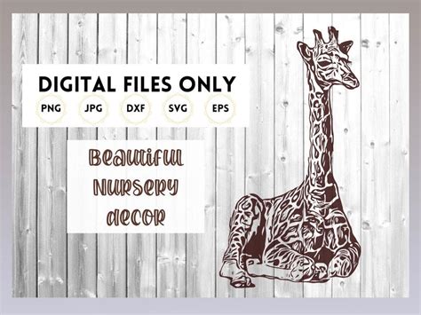 Baby Giraffe SVG Cricut Cut File Digital Download for | Etsy