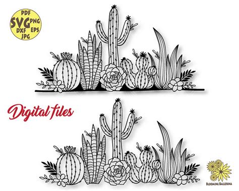 Cactus Png, Cactus Plants, Succulent Plants, Flower Svg, Cactus Flower, Digital Artwork, Digital ...