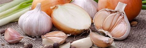 Health Benefits of Garlic and Onion