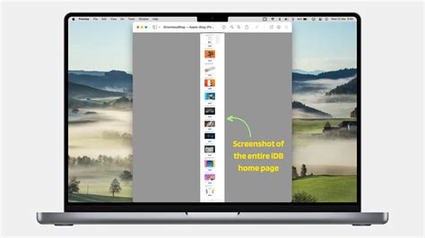 How to screenshot of an entire web page on Mac